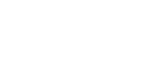 Logo_NAMIC_White_R3@2x